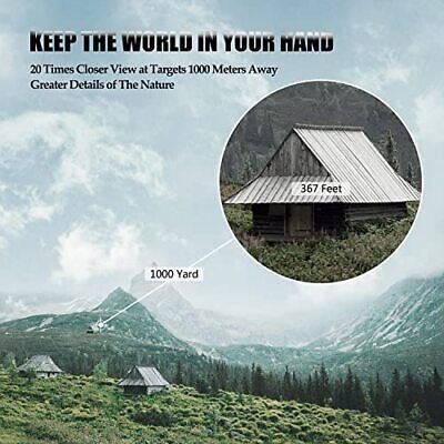 Dylbi Profesional Benkoo