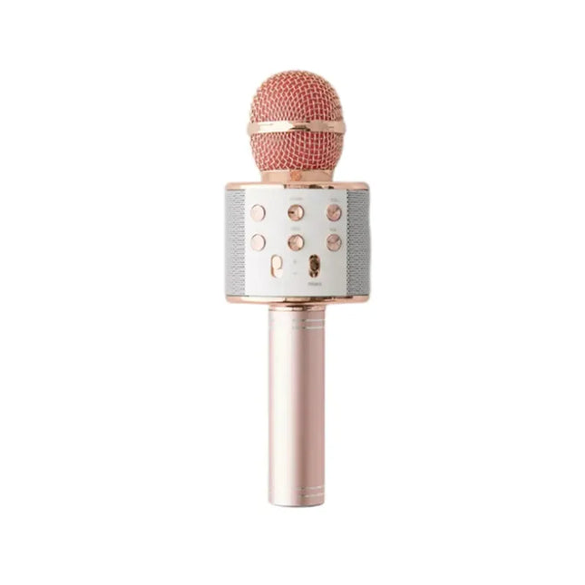 Mikrofon për Karaoke WS-858