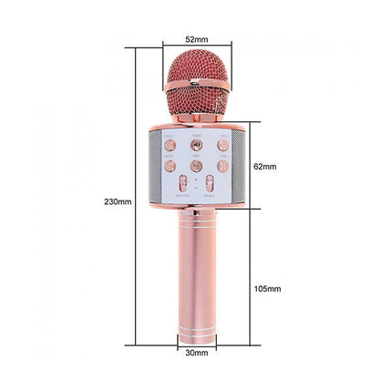 Mikrofon për Karaoke WS-858