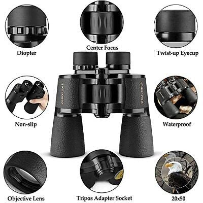 Dylbi Profesional Benkoo