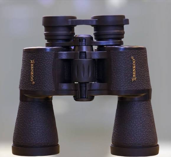 Dylbi Profesional Benkoo